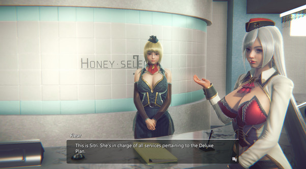 图片[4]-甜心选择2（Honey Select）2 DX 最新整合豪华DLC包合集系列 150GB-稀风次元